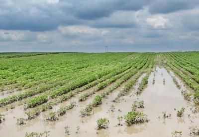 Extremos do clima geram R$ 28,2 bi em prejuízos ao agronegócio do Sul