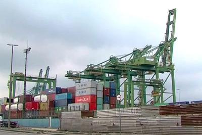 STF derruba proibição do embarque de cargas vivas no Porto de Santos