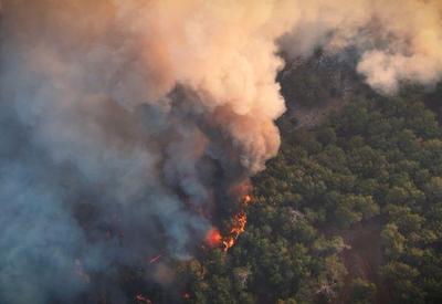 Mais de 90% dos incêndios florestais em SP são ocasionados por ações humanas