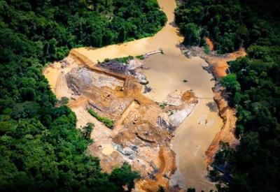 73% da população é contra garimpo em território Yanomami, diz Datafolha