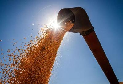 Brasil condena fim de acordo de grãos na Ucrânia e faz alerta sobre insegurança alimentar