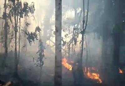 Incêndio já destruiu mais de 200 hectares do Parque Nacional Monte Pascoal, na Bahia