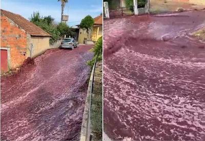 Cidade de Portugal fica com ruas alagadas de vinho após rompimento em depósito