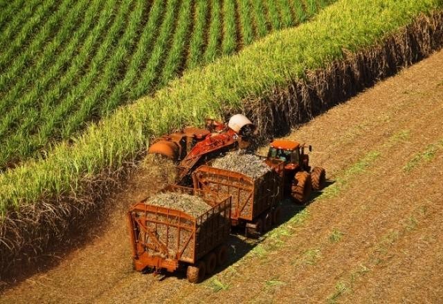 30% do território nacional tem boa potencialidade ao desenvolvimento agrícola