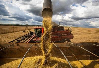 Preço do trigo subiu mais de 56% em um ano, diz agência da ONU