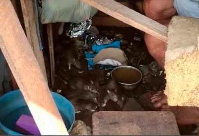 Vídeo: idoso divide barraco e comida com ratos em Belém