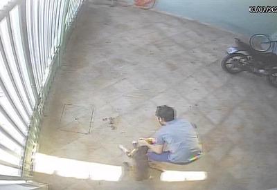 Câmeras flagram homem agredindo cachorros em Praia Grande (SP)