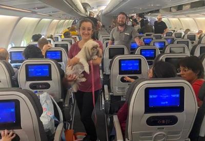 Centenas de brasileiros e pets: 2º voo da FAB decola com gatos e cachorro