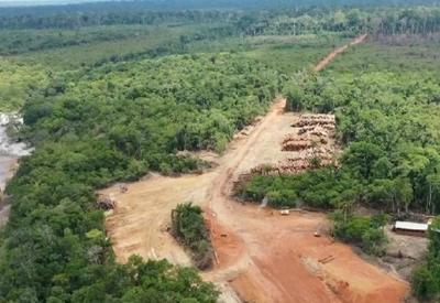 Amazônia perdeu 100 mil campos de futebol para o desmatamento ilegal, mostra estudo