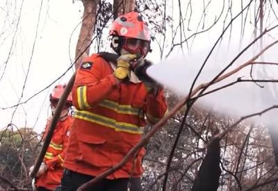 Mato Grosso e Mato Grosso do Sul decretam situação de emergência por incêndios