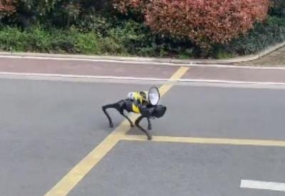 Cão-robô patrulha cidade chinesa em lockdown