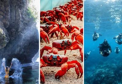 Conheça a Ilha do Natal, um paraíso de caranguejos vermelhos e mergulhadores