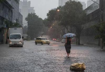 Chuva na cidade de São Paulo provoca queda de árvores e alagamentos