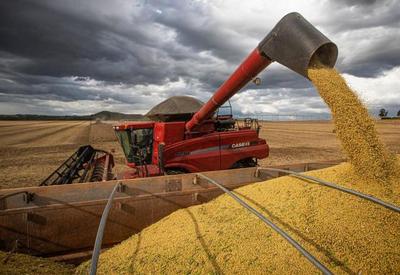 Produção de grãos na safra 2023/24 deve chegar a 319,5 milhões de toneladas