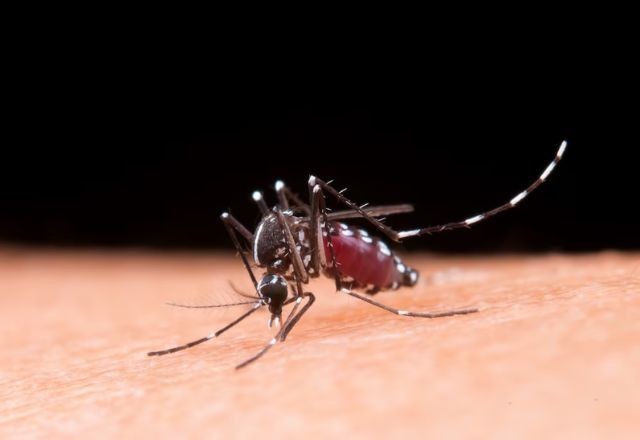 Vacina contra a dengue será aplicada em 521 cidades, diz Ministério da Saúde