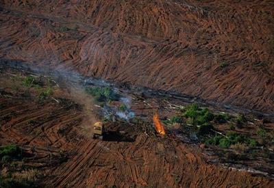 Desmatamento no Cerrado em setembro bate recorde; na Amazônia, queda é de 59%
