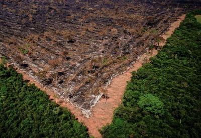 Desmatamento na Amazônia até novembro foi o menor desde 2017