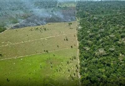 Pará tem 7 das 10 áreas protegidas mais ameaçadas pelo desmatamento na Amazônia