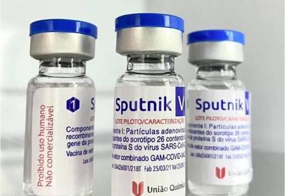 Sputnik V: Chegada do imunizante russo ao nordeste ainda está indefinida