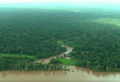 Brasil perdeu 15% de florestas naturais desde 1985, mostra MapBiomas