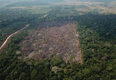 Brasil pode recuperar parte da Floresta Amazônica, aponta estudo