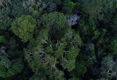 Helicóptero com três pessoas desaparece na Floresta Amazônica