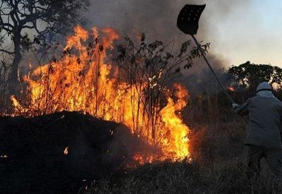 Amazonas decreta emergência ambiental por causa de queimadas