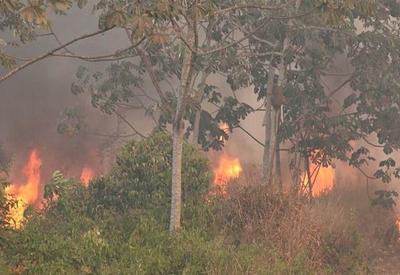Brasil registra 29 focos de incêndio por hora, aponta Inpe