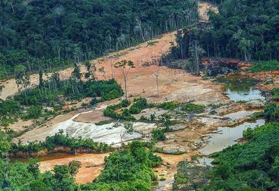Alertas de garimpo ilegal zeram na Terra Yanomami pela primeira vez em 3 anos