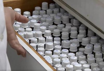 Homeopatia é apenas placebo? Entenda a polêmica sobre o tema