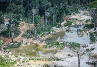 Cresce número de denunciados por garimpo ilegal em terra Yanomami
