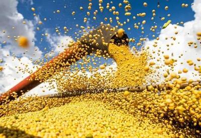 Conab atualiza total da safra de grãos 22/23: produção bate recorde com 322,8 milhões de toneladas no país