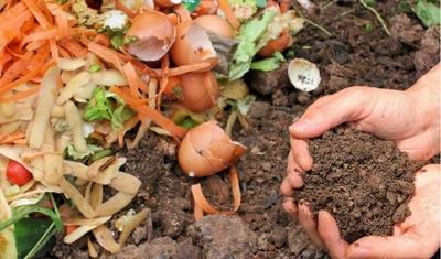 Franceses vão transformar todo lixo orgânico em fertilizantes e biogás