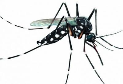 Alerta vermelho: Brasil tem mais de 970 mil casos de dengue