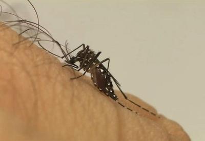 RJ apresenta melhora no cenário epidemiológico de dengue, diz governo