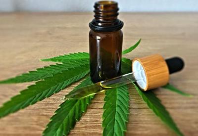 Dobram as autorizações para importação de cannabis medicinal no Brasil