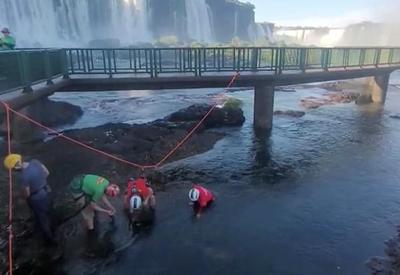 Ação ambiental retira mais de 158 kg de moedas das Cataratas do Iguaçu