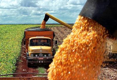 Brasil está prestes a se tornar o maior exportador de milho do mundo