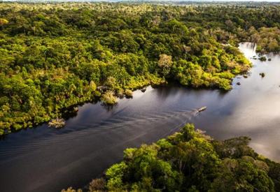 Confronto ambiental: exploração em Foz do Amazonas ameaça pesca e indígenas