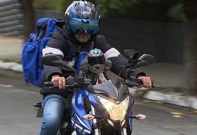 "Motodog": Cadela acompanha tutor em entregas de moto por São Paulo