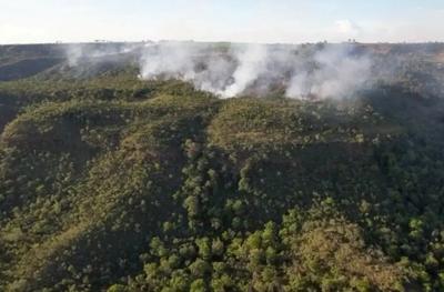 Incêndio atinge região próxima do Santuário de Elefantes em Mato Grosso