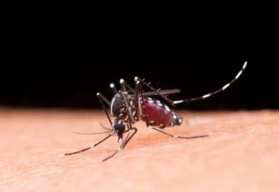 Brasil ultrapassa 4,5 milhões de casos suspeitos de dengue em 2024