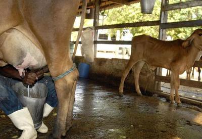 Decreto inibe importação de lácteos 